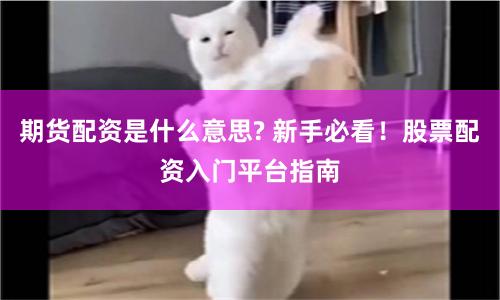 期货配资是什么意思? 新手必看！股票配资入门平台指南