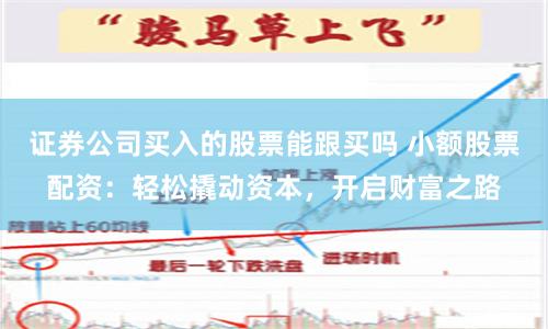 证券公司买入的股票能跟买吗 小额股票配资：轻松撬动资本，开启财富之路