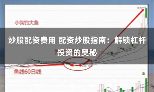 炒股配资费用 配资炒股指南：解锁杠杆投资的奥秘